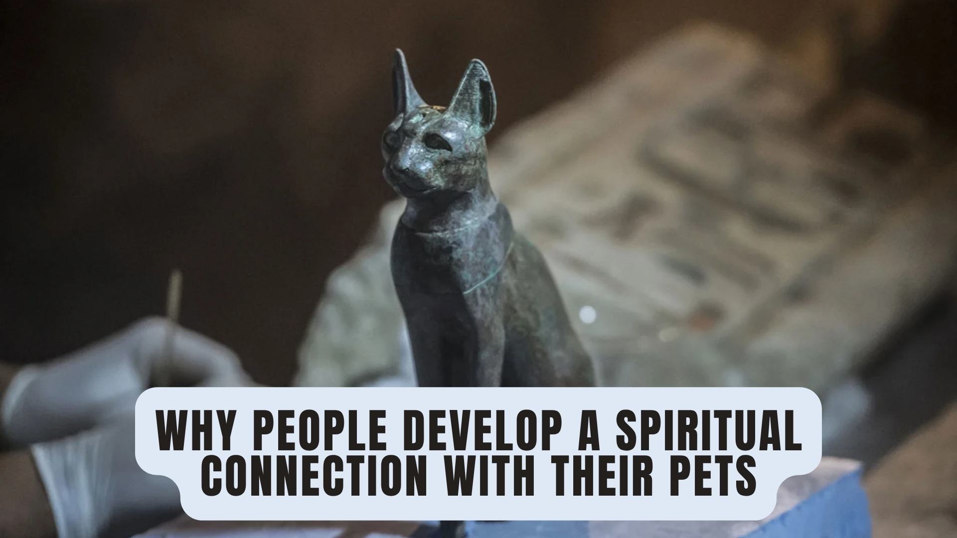 Why People Develop a Spiritual Connection with Their Pets